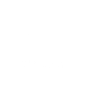 BP Online Consulting and Management (white logo transparent background))